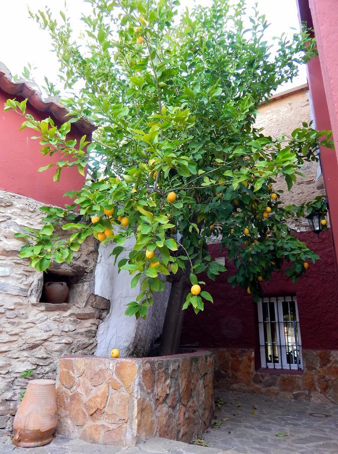 Zorita  Casa Rural La Perra Gorda מראה חיצוני תמונה